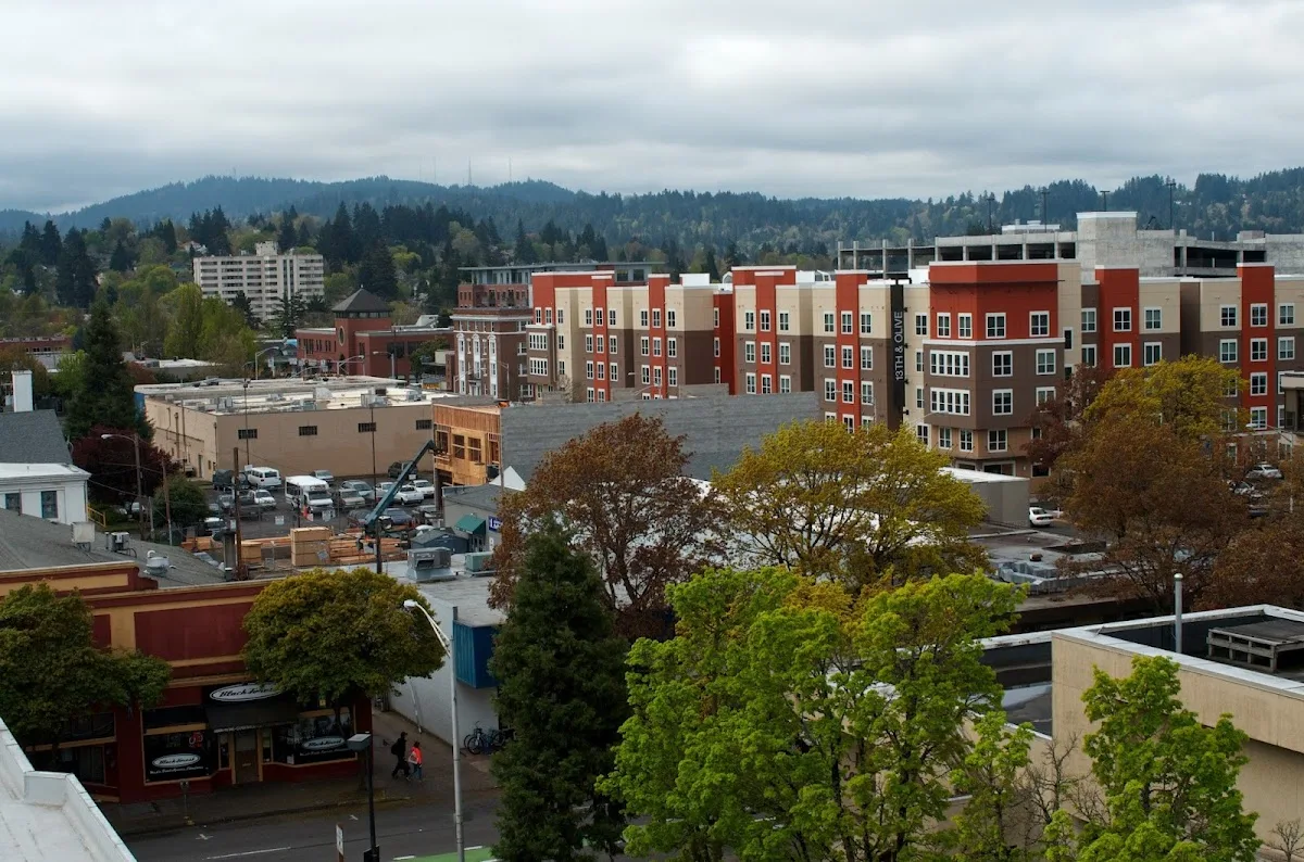 Lisa Carrillo Tax Professional