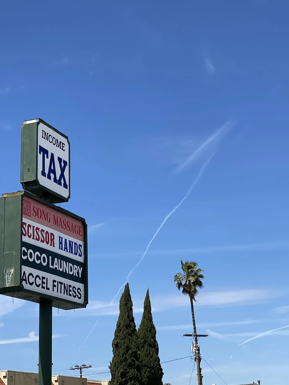 Pacific Tax Professionals