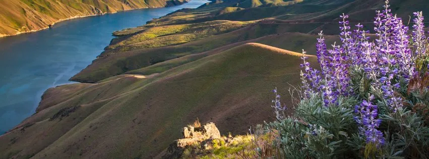 Practical Tax Solutions, LLC ®