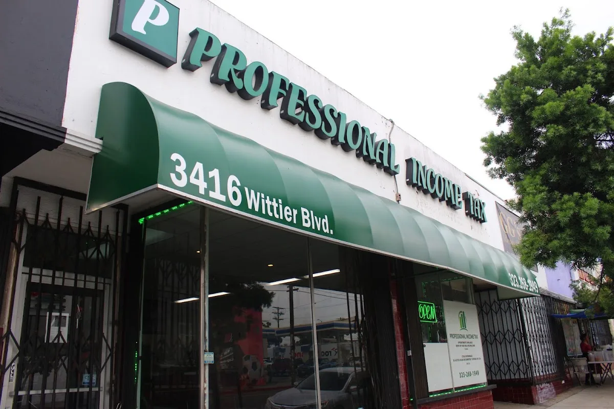 Professional Income Tax office photo 2