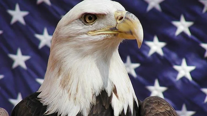 San Antonio Tax Prep LLC