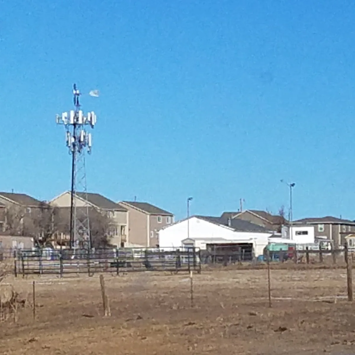 Senior Tax Advisory Group