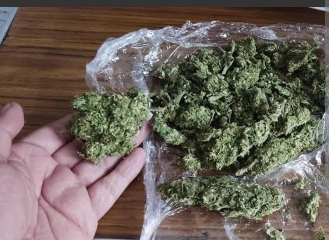 Sid's Income Tax Services