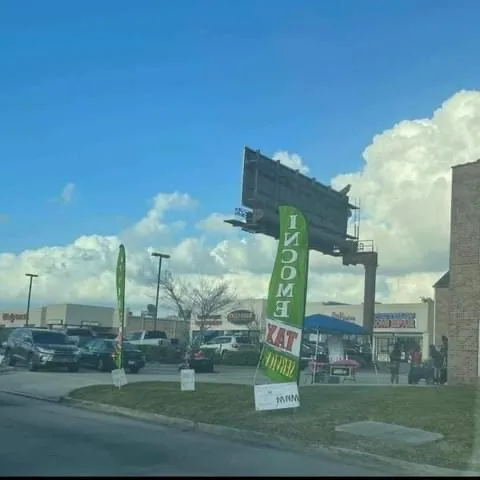 TIGER TAX & INSURANCE SERVICES