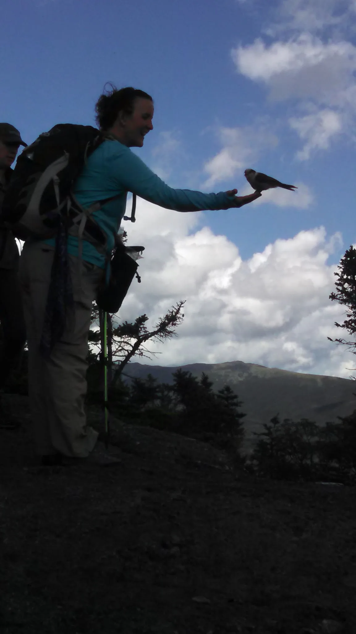 Tracy's Tax Service LLC