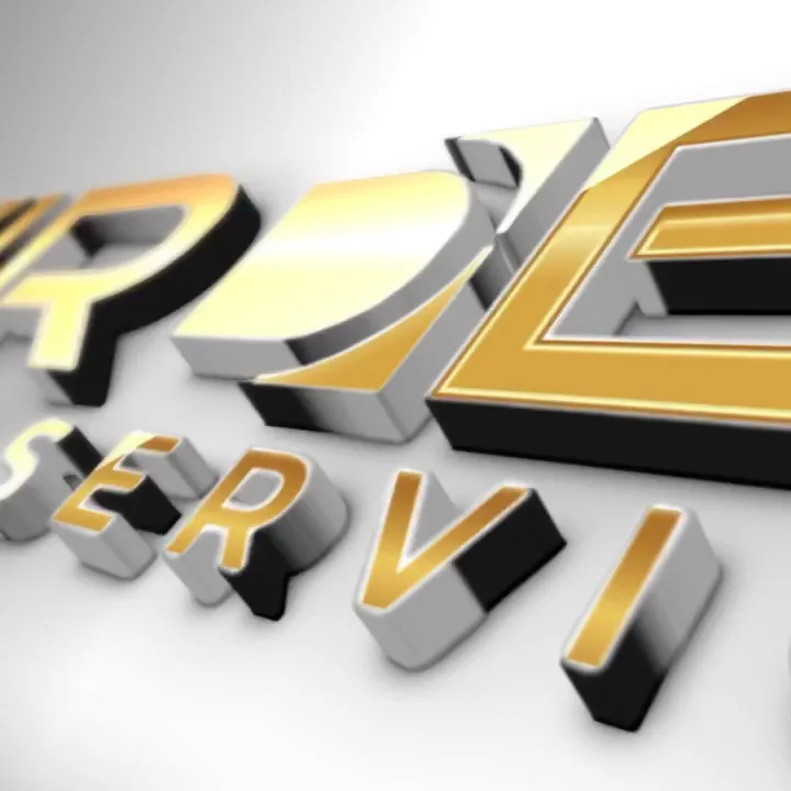 TVirden Tax Services Inc